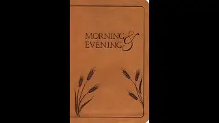 Morning Devotion 2 Timothy 4:8