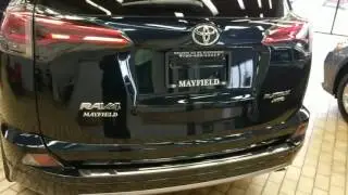 2017 Toyota RAV4 Platinum in Galactic Aqua Mica