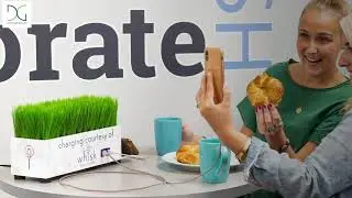 More Than Signs & Banners | Displays2go&reg; Custom Printing