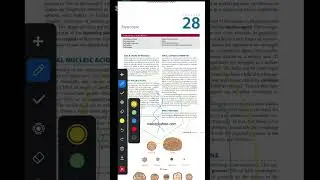 Chapter no 28 Levinson | Introduction to viruses| Structure of virus and related particles
