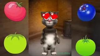 Talking Tom Is Eating Tomatoes in Different Colours