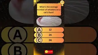 Only True Cat Lovers Can Pass This Quiz! 🐱🔥 #cat #catshorts #catlovers