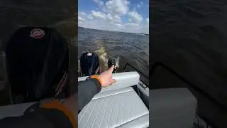 Если МОТОР 😡СЛОМАЛСЯ #shorts #лодка #boat #обзор #рыбалка #fishing #review