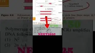 Neet 2025 Question Polymerase chain reaction (PCR) amplifies DNA following the equation. #pcr #neet