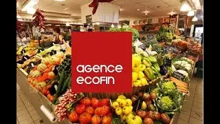 Le march&eacute; alimentaire urbain en Afrique subsaharienne p&egrave;sera 300 milliards $ &agrave; l&rsquo;horizon 2030