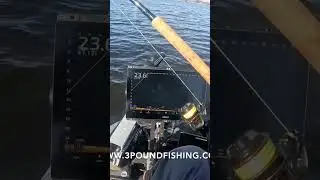 Trolling #3poundfishingtackle #crappiefishing #fishing  motor and Croppie fishing ￼