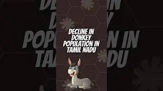 Donkey population in decline in Tamilnadu