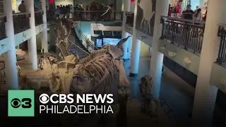 Academy of Natural Sciences cutting hours, staff positions, citing financial instability