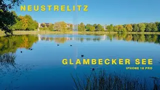 Ab in die Natur - Spaziergang am Glambecker See in Neustrelitz