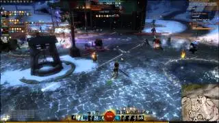 GW2 - Bear Form Fails