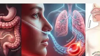  Colostomy Care | Nursing Foundation | NCLEX &bull; NORCET &bull; Exams