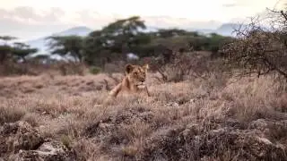 3 HOURS Best Chillout African Lounge _ Peaceful Electronic Background Music