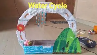 Water Cycle | Handmade Project #shorts #trending #youtubeshorts #school #project #model #watercycle 