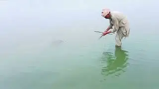 River fishing/Carp fishing/Rahu fish/Pakistan fishing/Fishing/Fish 