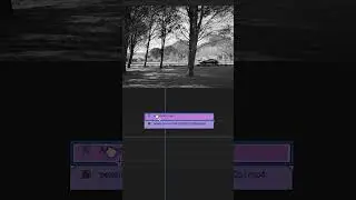 Retro effect in Premiere Pro