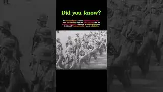 Why French Resistance Members Wore Two Watches | Silent Defiance Under Nazi Occupation