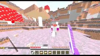 Hack Report [Babolous] | play.Timolia.de