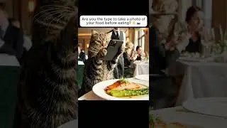 POV: You&rsquo;re out to lunch with a food influencer 📸🐟 #shorts
