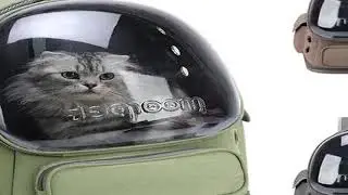 Transparent Pet Cat Carrier Bag Outdoor Travel Backpack for Cats Small Dogs Brea