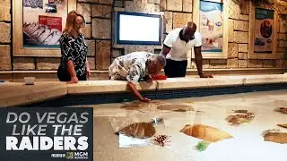 Jim Plunkett Feeds Stingrays While Visiting the Shark Reef Aquarium at Mandalay Bay | Raiders | NFL