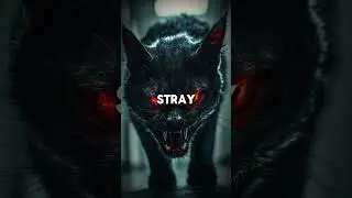 The Demon Cat of the US Capitol