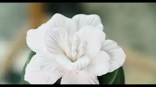 Bloom Porcelain Essential Oil Diffuser | Airom&eacute; | Aromatherapy | Home Fragrance | Essential Oils