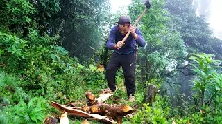 somuhang cutting firewood in the jungle || shepherd life of Nepal @manjitacooking