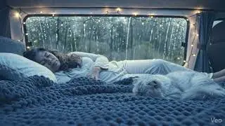 Rain ASMR Inside a Van I Sleep Sounds I No Music