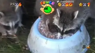 Racoon Mario drinking Milk