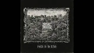 Ritual Disaster - Into Ruin [Blackened Crust Punk/Black Metal] 