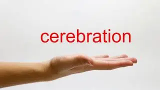 How to Pronounce cerebration - American English