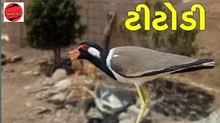 Totodi Live video food etc  viral video 🥝🥝