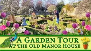 A Garden Tour at The Old Manor House - Hidden Dell Garden/Raised Beds/Formal Garden/Spring!