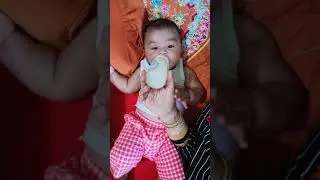 geo mimi(1)