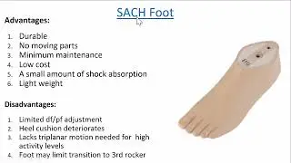 4aa Prosthetic components  FEET