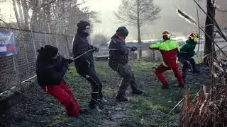 Die Erle aus Rottstock