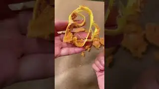Why you should never used 3D printed cookie cutters for dalgona 😑! #squidgame #sus #dalgona