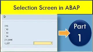 How to create Selection Screen in SAP ABAP | The basic understanding of ABAP Selection Screen-Part 1