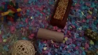 GUINEA PIG CAGE TOUR!!! __Enchanted lps animals