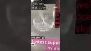 Jan 15 2026 #3iatlas my sun dog Nichi and YouTube creators as beyond double blind quantum observers