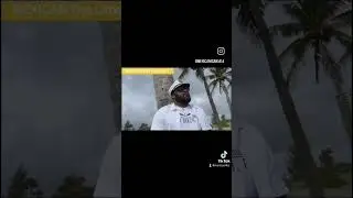 reggae Artist @mexican