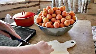 Dehydrating Off Grid Food (Summer and Winter)