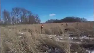 Royal Flush Bird Hunt 2016
