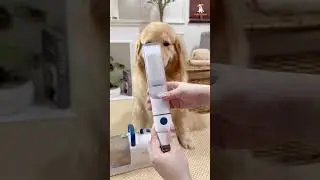 5-in-1 Pet Grooming Machine 🐾 Dryer, Trimmer, Brush & Vacuum in One! #petgrooming #petcare