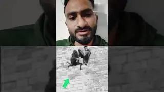 Doston🤔🥴😏 yah insan hai ki atma hai kya hai comment mein bataen #duet #barkatt