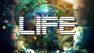 SwipFlitch - Life