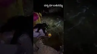 #bathukamma #telangana #telugu #trending #trendingshorts #shorts #viral #video #reels #traditional