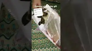 Birthday Gift
