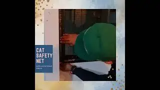 Cat Proofing/Safety Net Installation with Customised Velcro