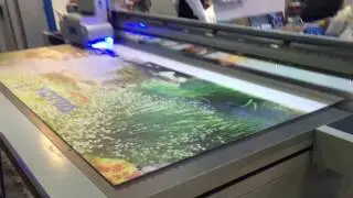 Ricoh industrial head UV flatbed printer, large format 3d ceramic printing machine,uv drucker